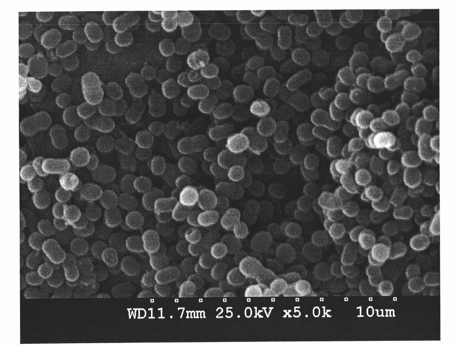 Acinetobacter sp. and application of composite bacterial agent of acinetobacter species