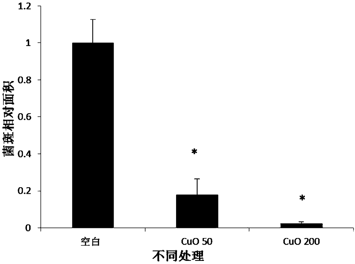 Nanometer antibacterial agent for preventing and controlling plant fungal diseases