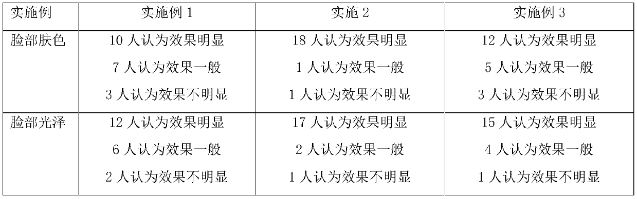 Traditional Chinese medicine mask and preparation method thereof