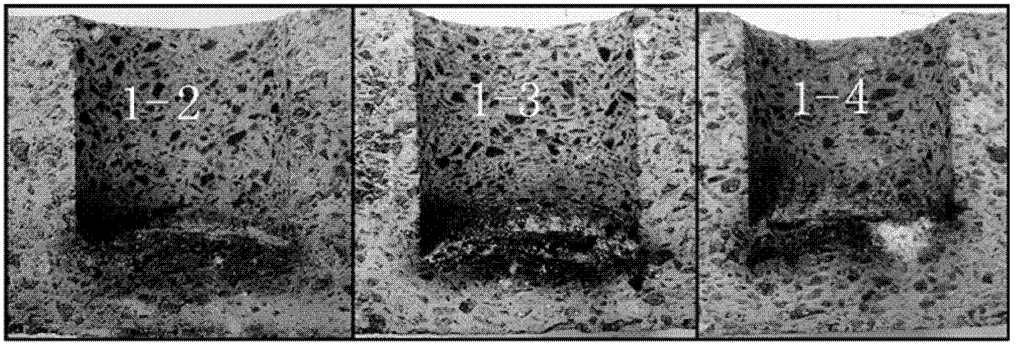 Aluminum-spinel-magnesia composite refractory as well as preparation method and application thereof