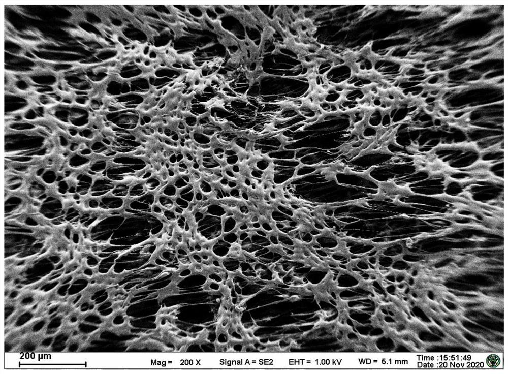 Dry glucose test paper strip adopting Prussian blue nano-enzyme and preparation method thereof