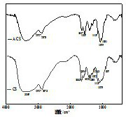 Preparation method of high-adsorbability chitosan aerogel