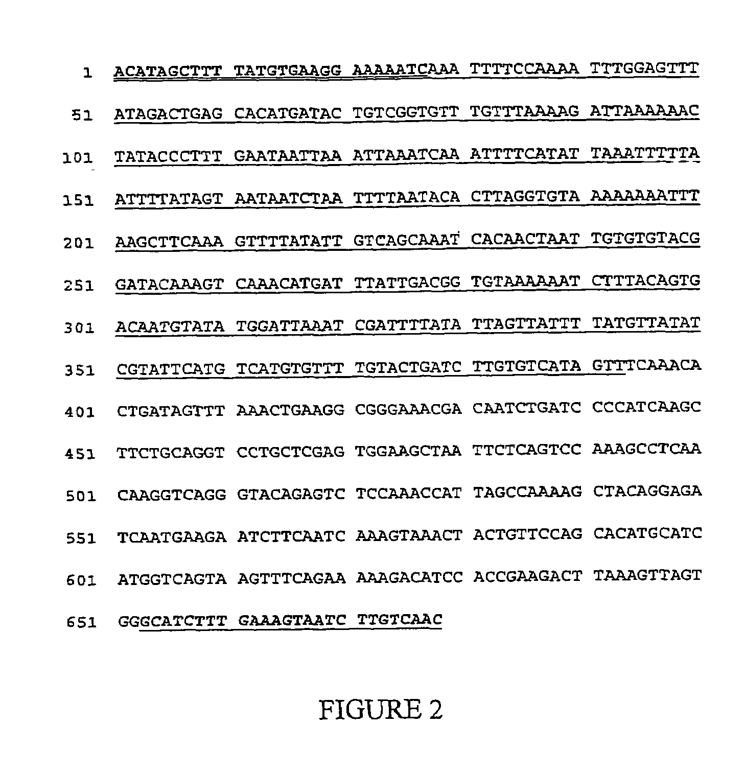 Glyphosate tolerant alfalfa events and methods for detection