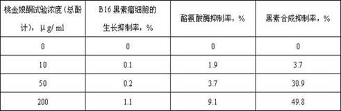 Composition of rhodomyrtus tomentosa extract and surface active substance