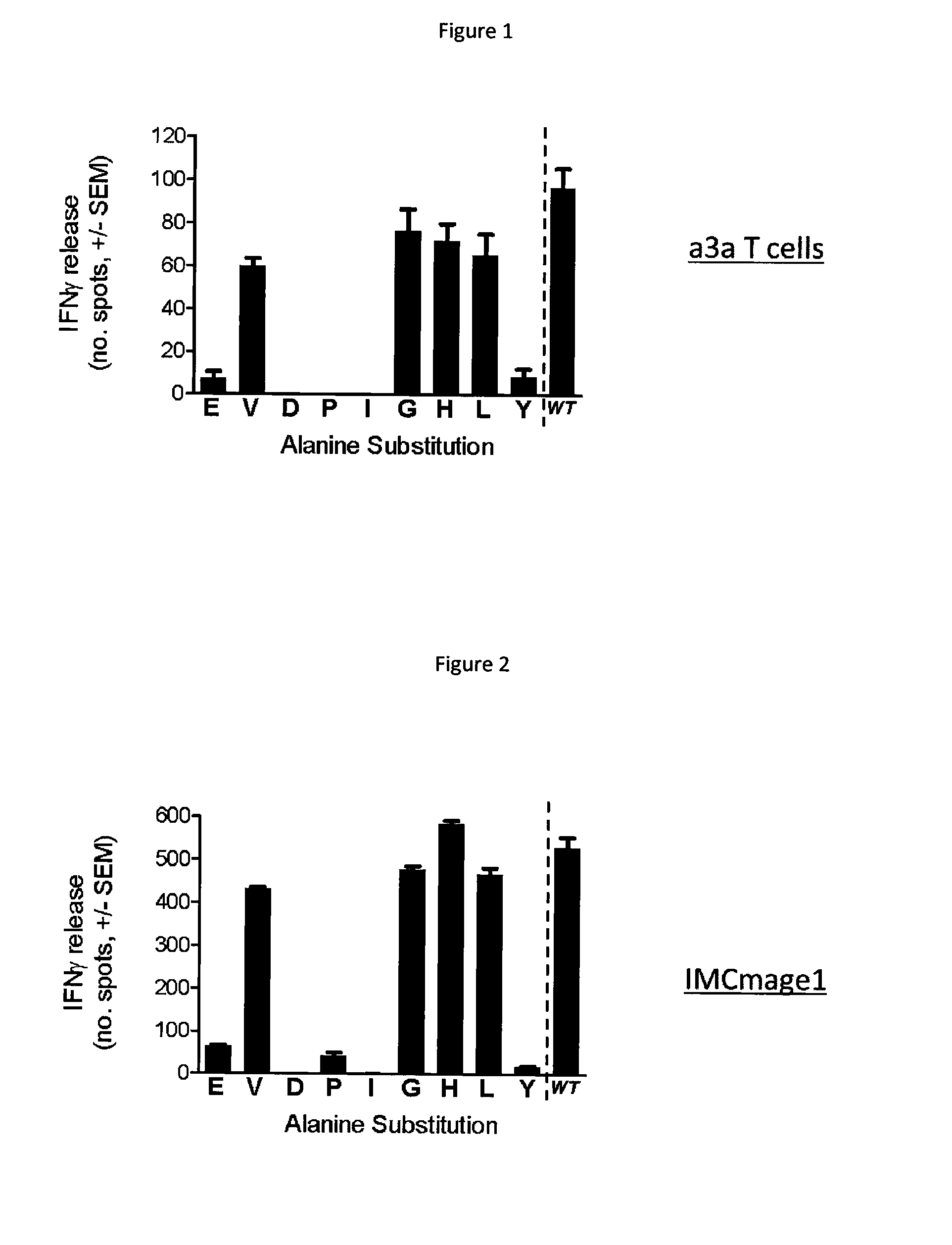 Method for predicting the off-target biding of a peptide which binds to a target peptide presented by a major histocompatibility complex