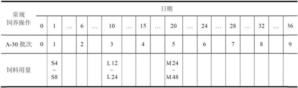 A kind of standardized breeding and management method of Chilo suppressalis