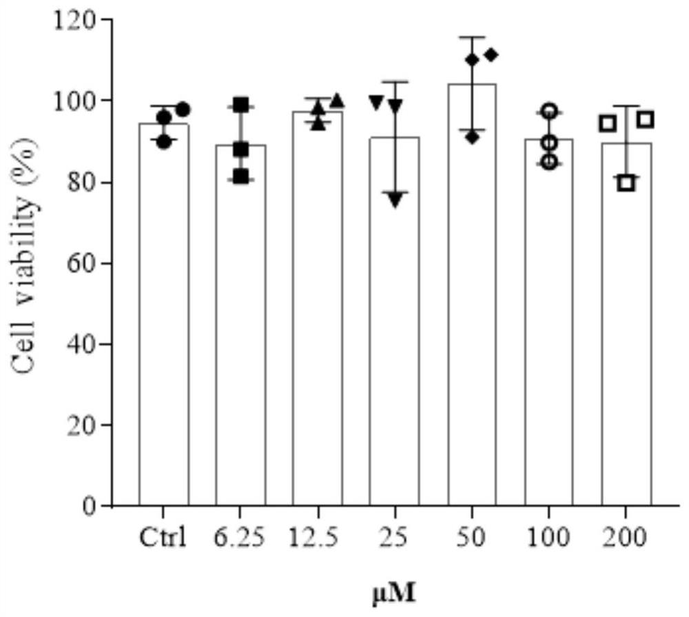 Application of pepper in preparation of medicine for treating and/or preventing respiratory virus pneumonia