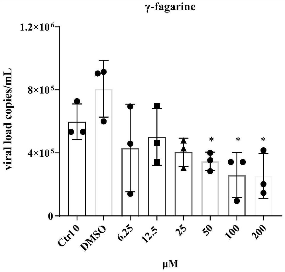 Application of pepper in preparation of medicine for treating and/or preventing respiratory virus pneumonia