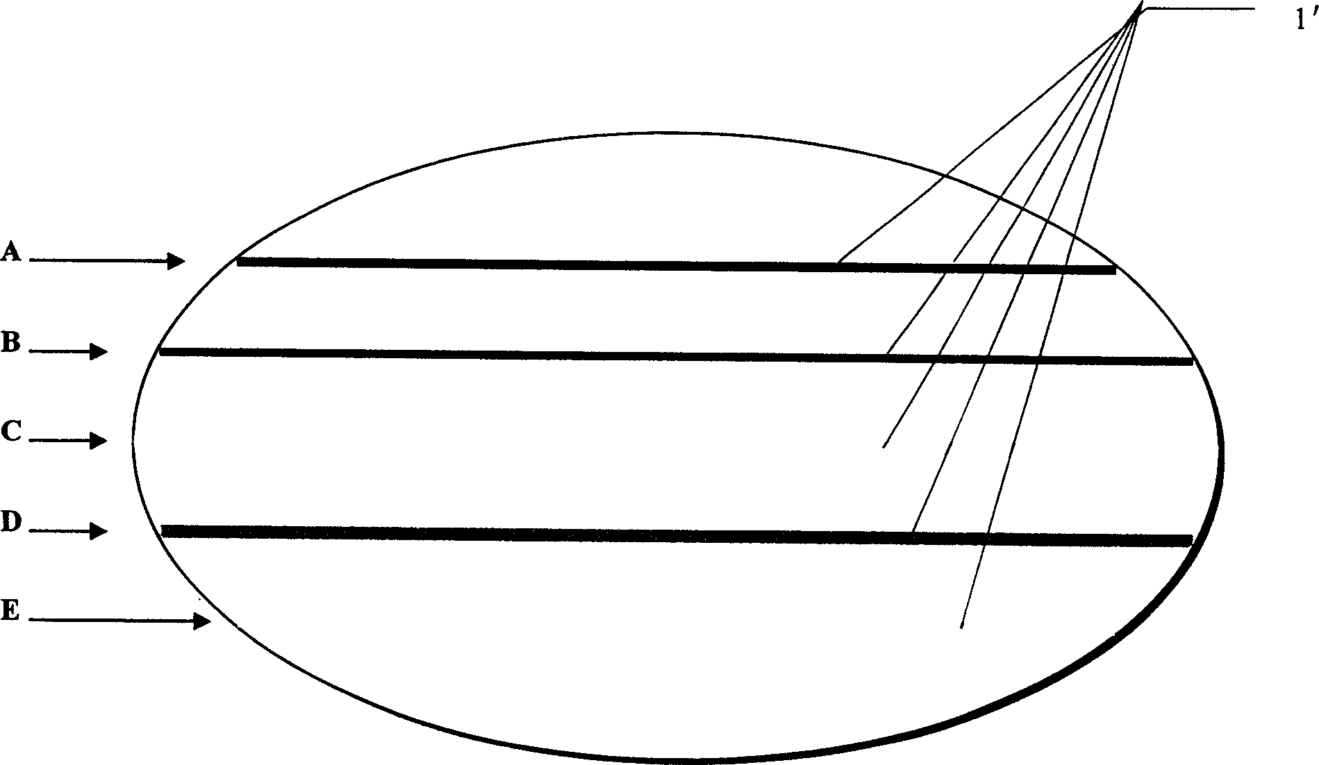 Chromatoghraph line antiforge method chromatograph line antiforge paper