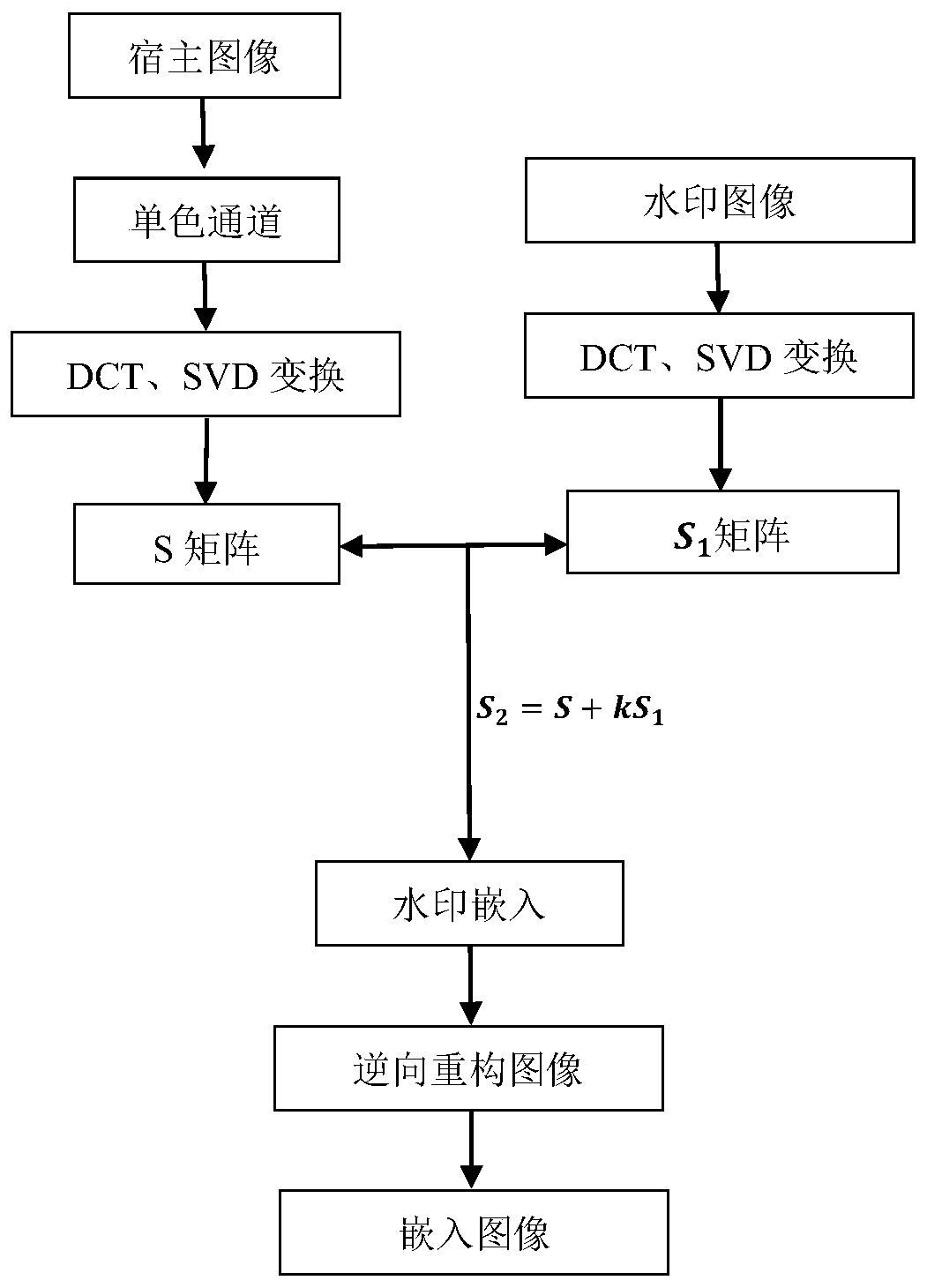 Digital watermark embedding environment determination method, device and equipment and readable storage medium