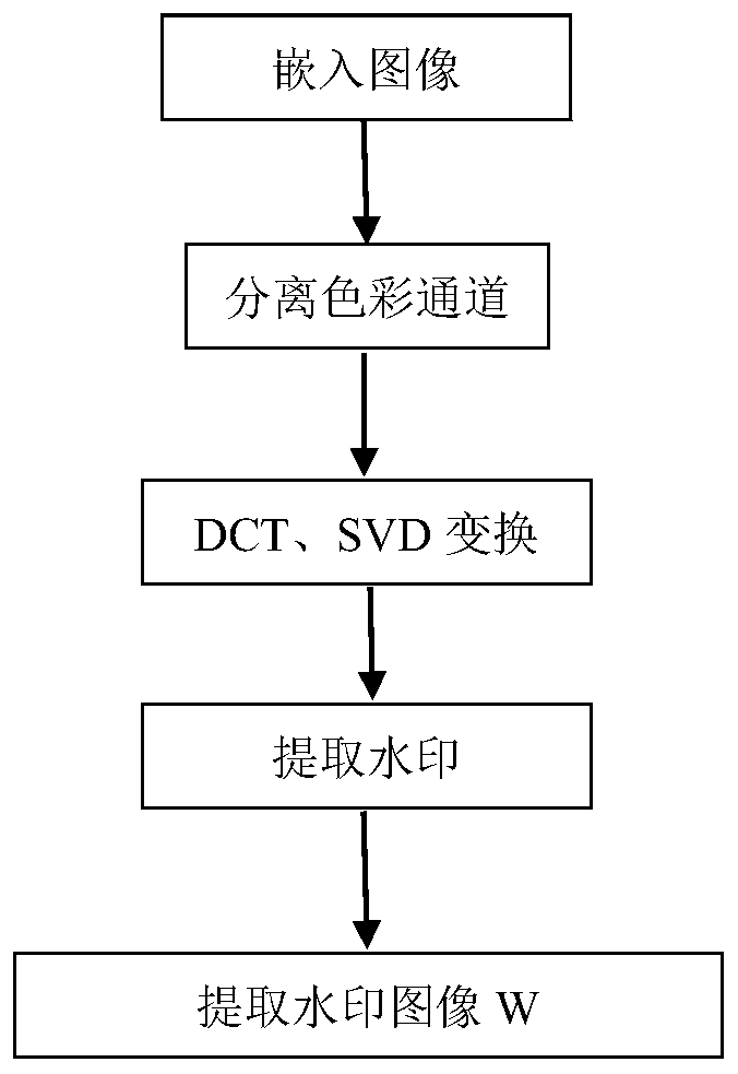 Digital watermark embedding environment determination method, device and equipment and readable storage medium