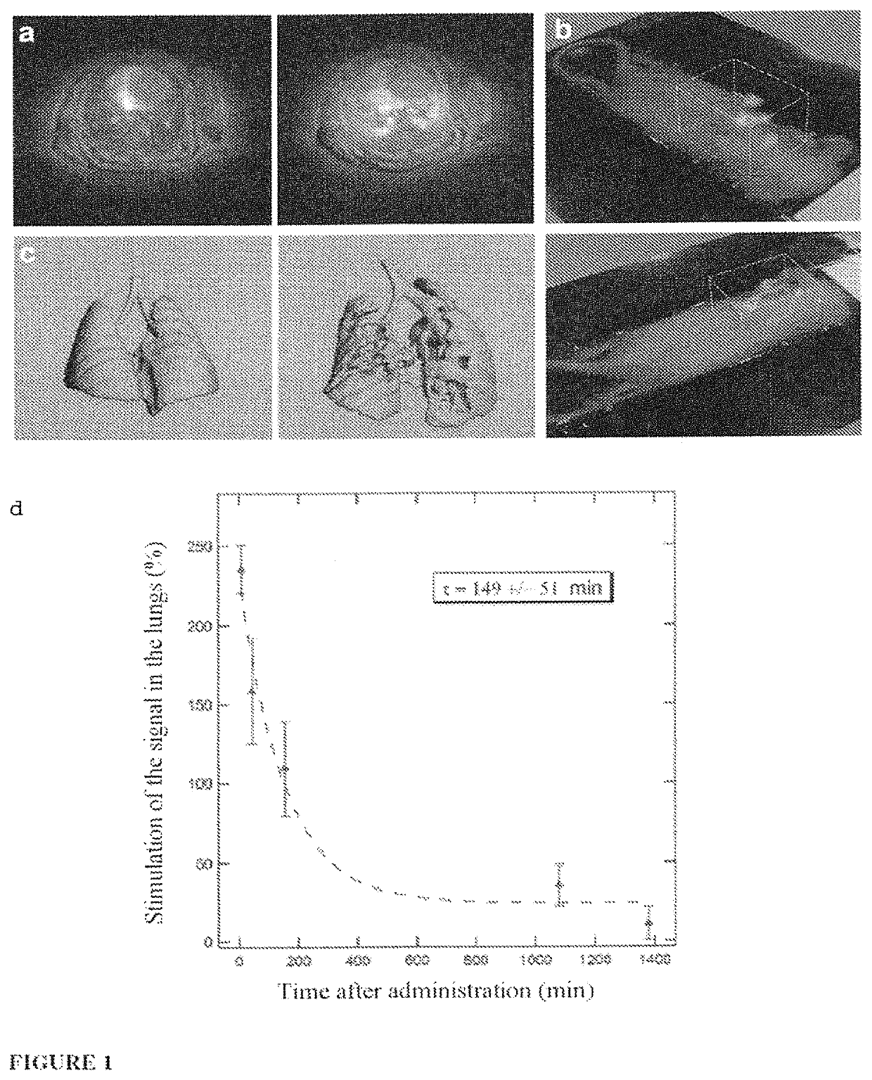 Ultrafine nanoparticles as multimodal contrast agent