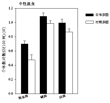 Neem-tea tree-chamaecrista rotundifolia three-dimensional intercropping tea garden pest control method