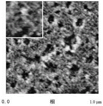 Amphiphilic copolymer network and preparation method thereof