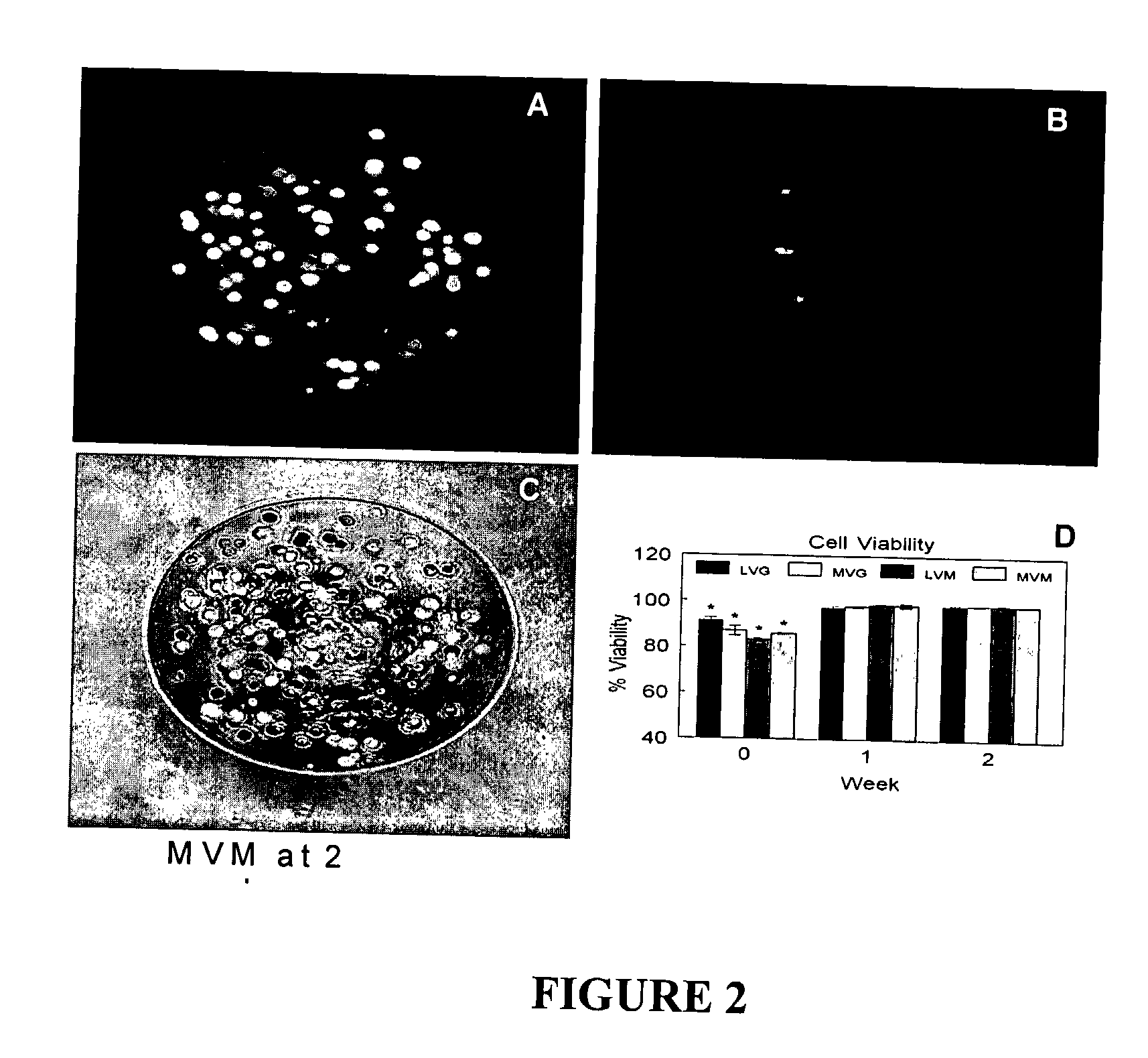 Microencapsulation of Cells in Hydrogels Using Electrostatic Potentials