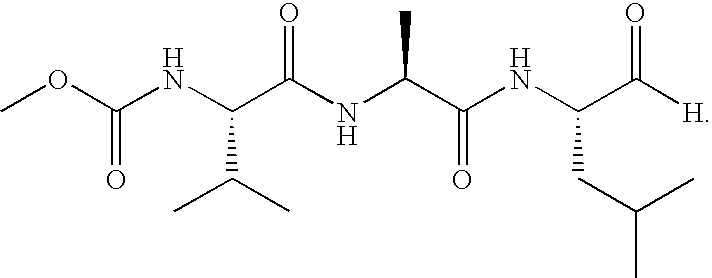 Enzyme stabilization