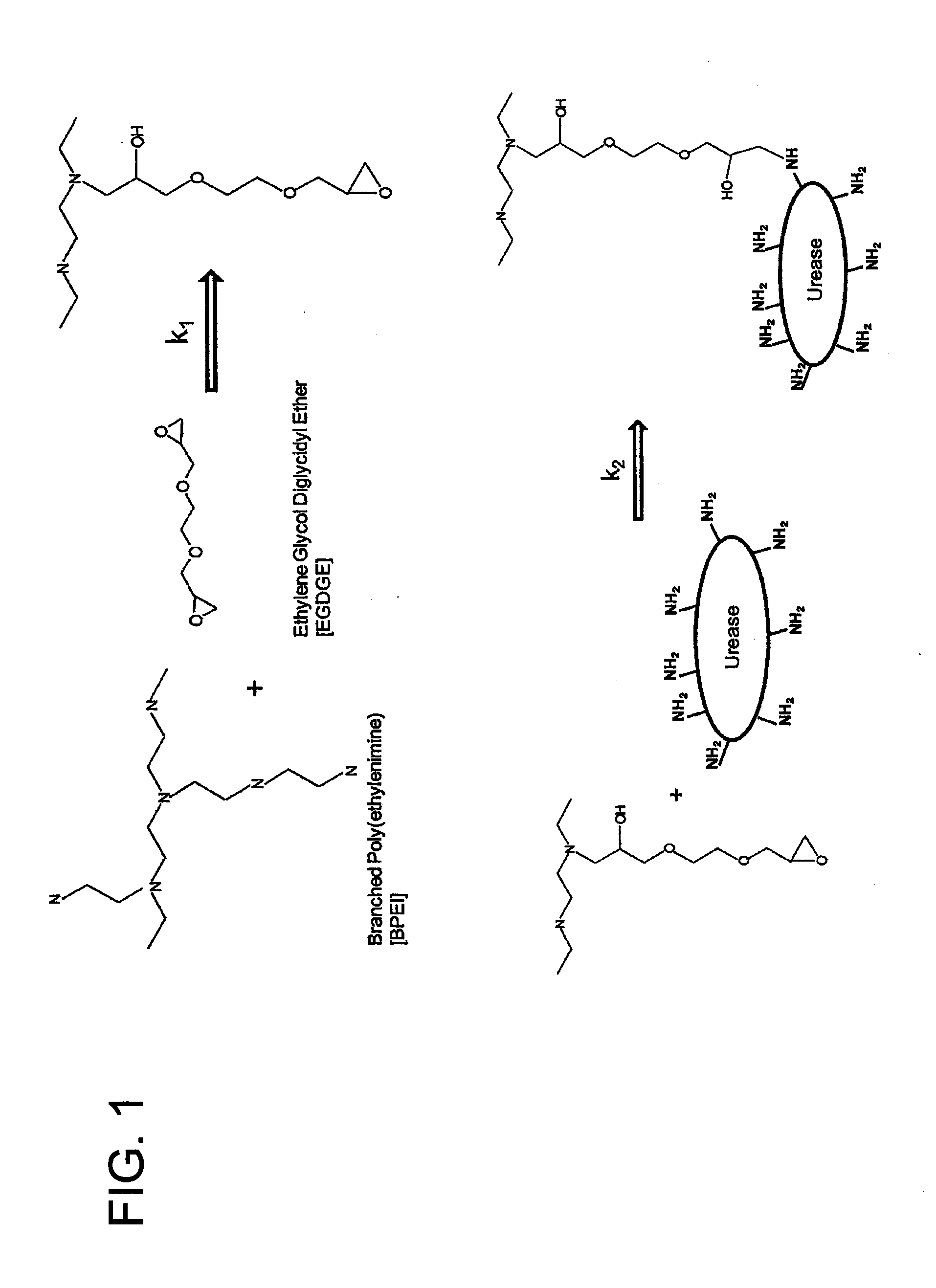 Covalently Immobilized Enzyme and Method To Make The Same