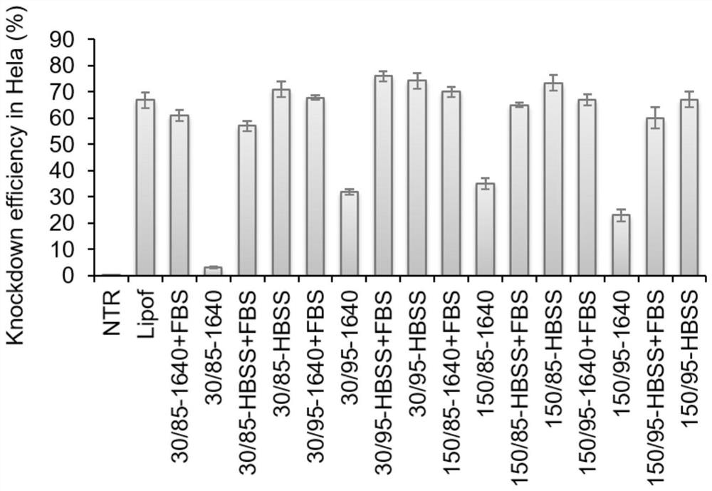 A method for improving the efficiency of chitosan transporting siRNA in vitro