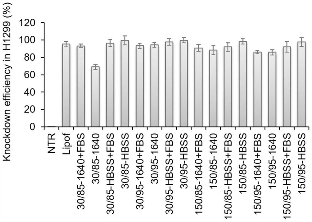 A method for improving the efficiency of chitosan transporting siRNA in vitro