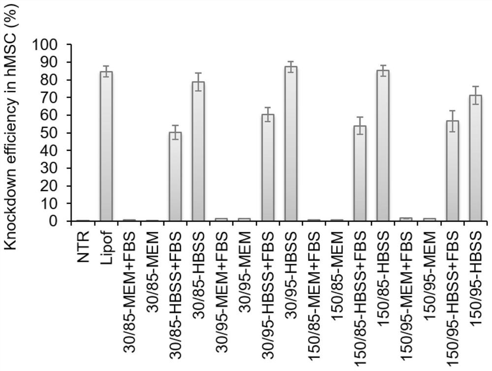 A method for improving the efficiency of chitosan transporting siRNA in vitro