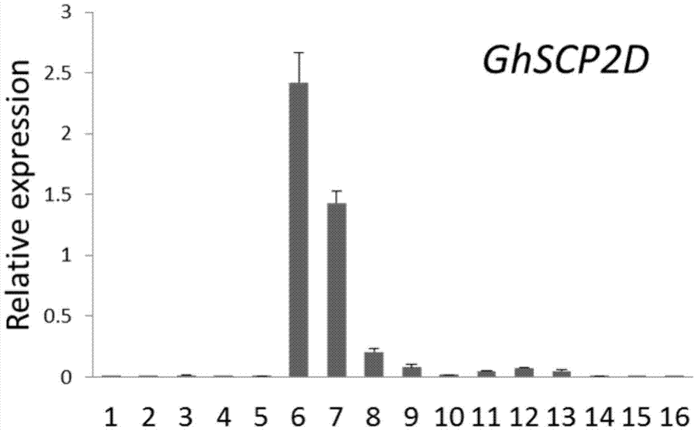 Cotton Sterol Carrier Protein Gene and Its Application