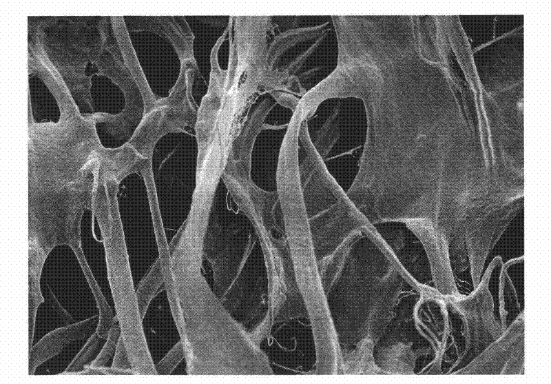 Bone tissue regeneration guiding membrane and preparation method thereof