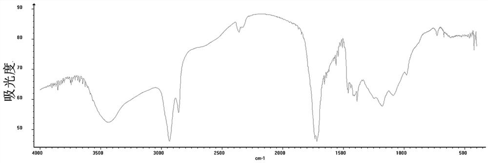 Organic acid compound in purslane and extraction and separation method thereof