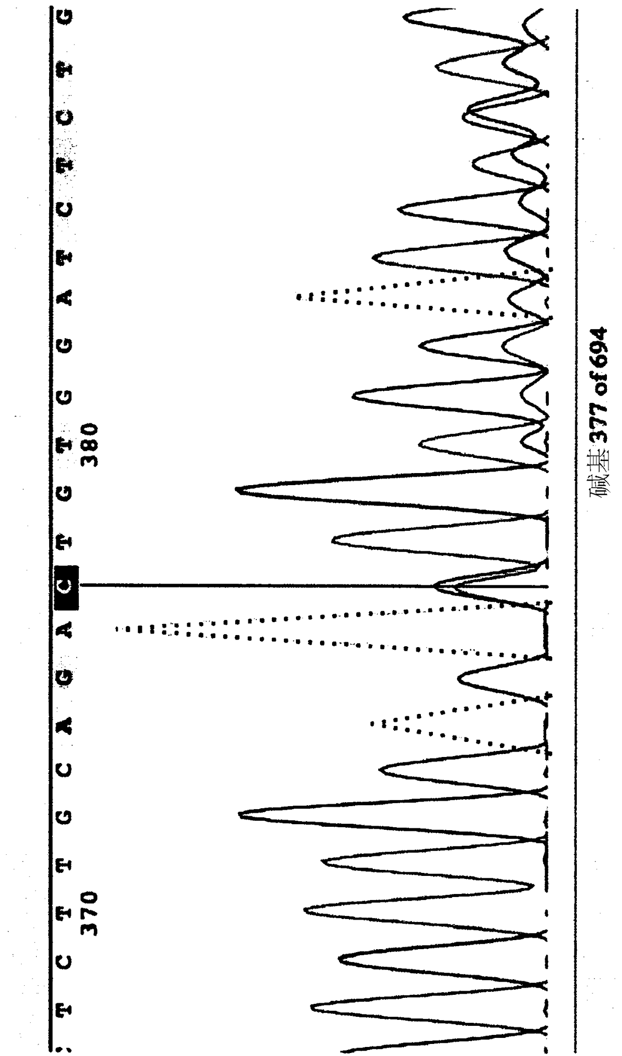 Compositions and methods relating to tumor analysis