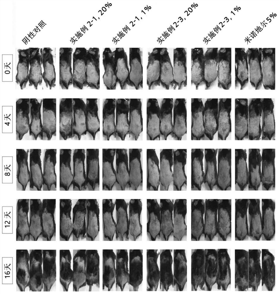 Composition for preventing hair loss or promoting hair growth, comprising, as active ingredient, mixed extract of cucumber, eggplant and snail