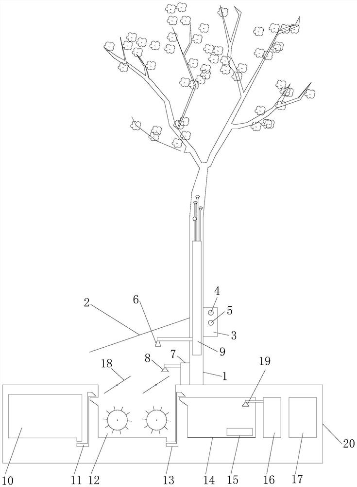 An ecological garden landscape pet dog public toilet