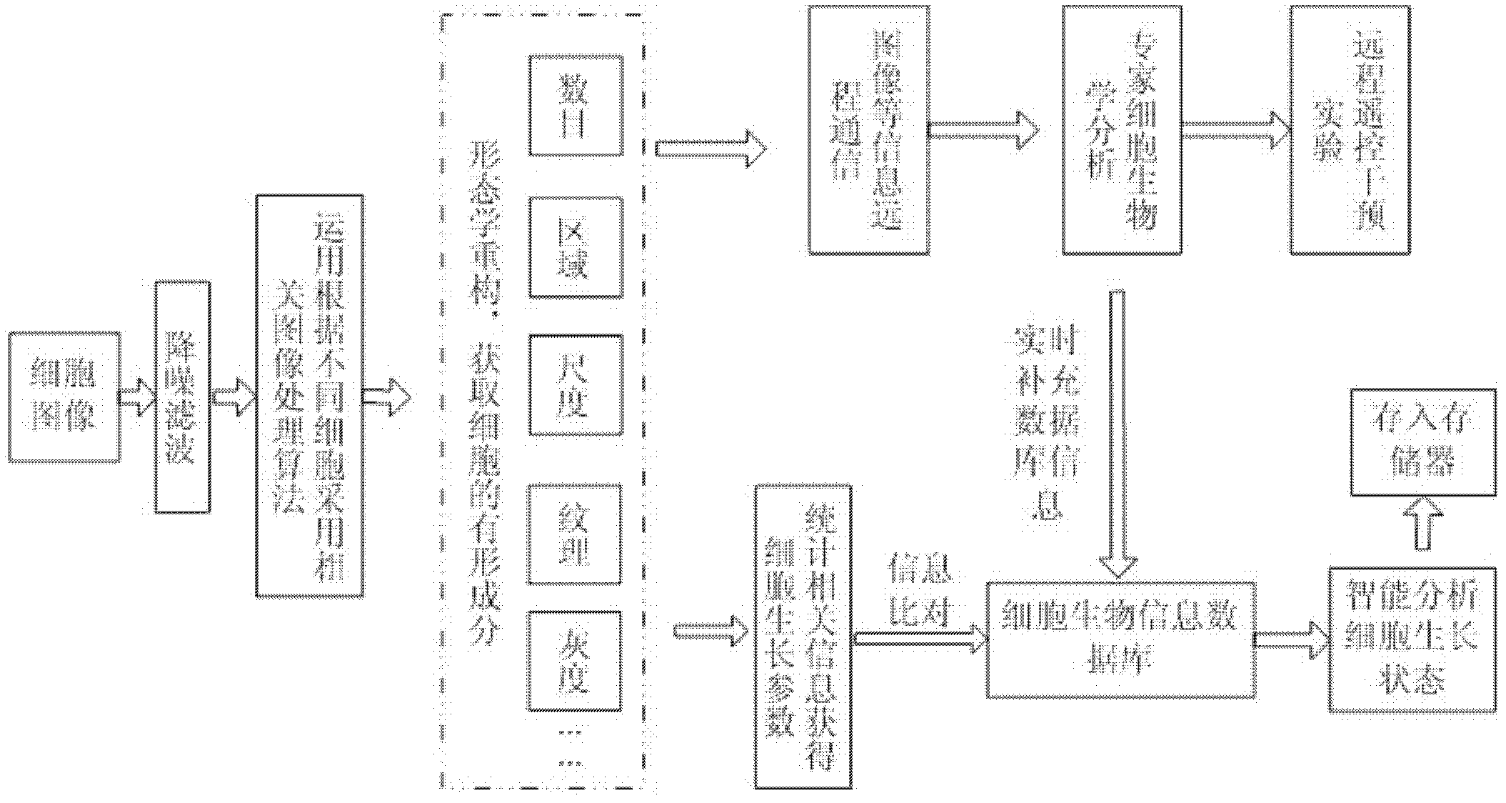 An automatic microscopic imaging system for multi-cell culture process