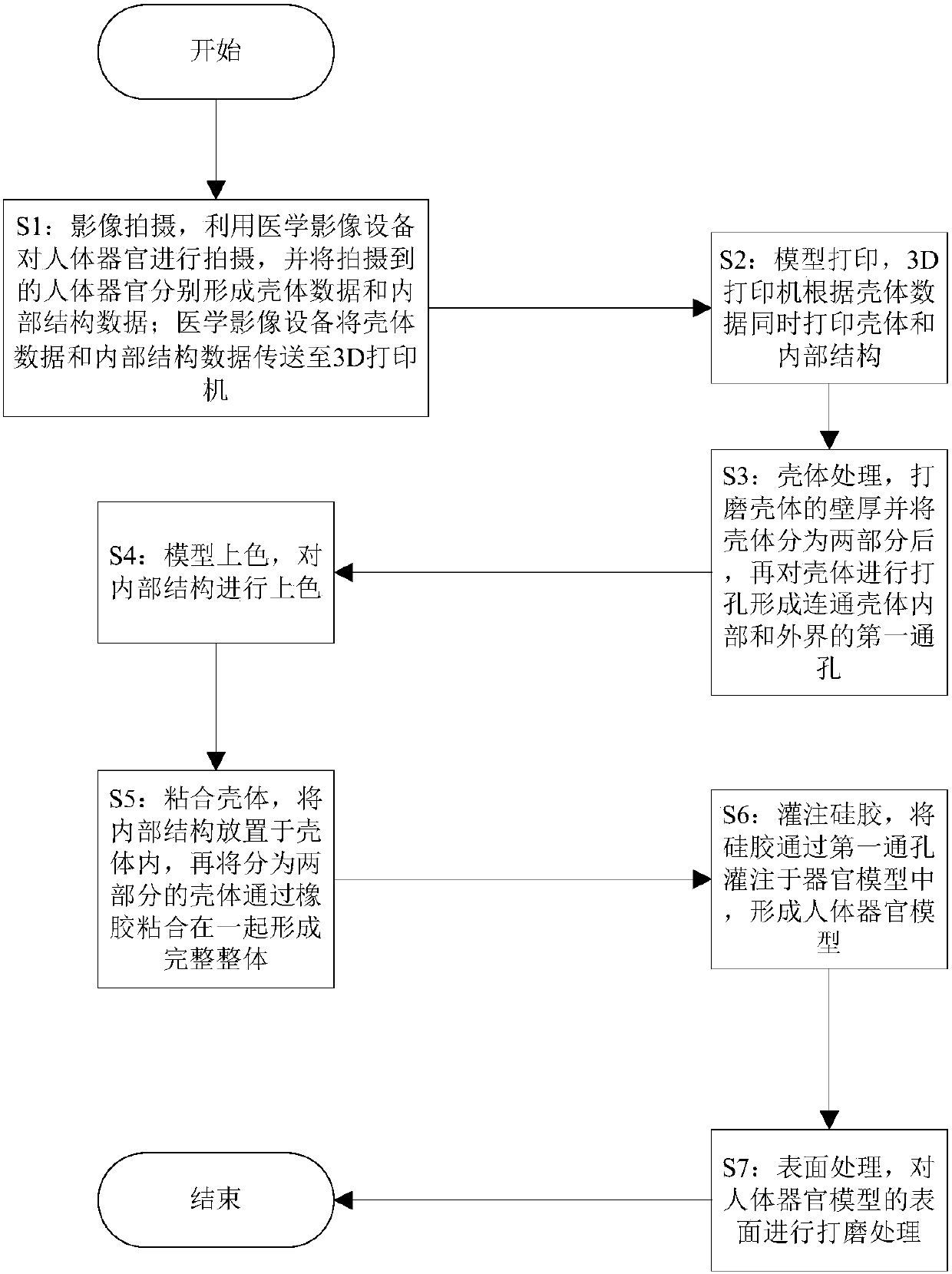 Manufacturing process of human organ model