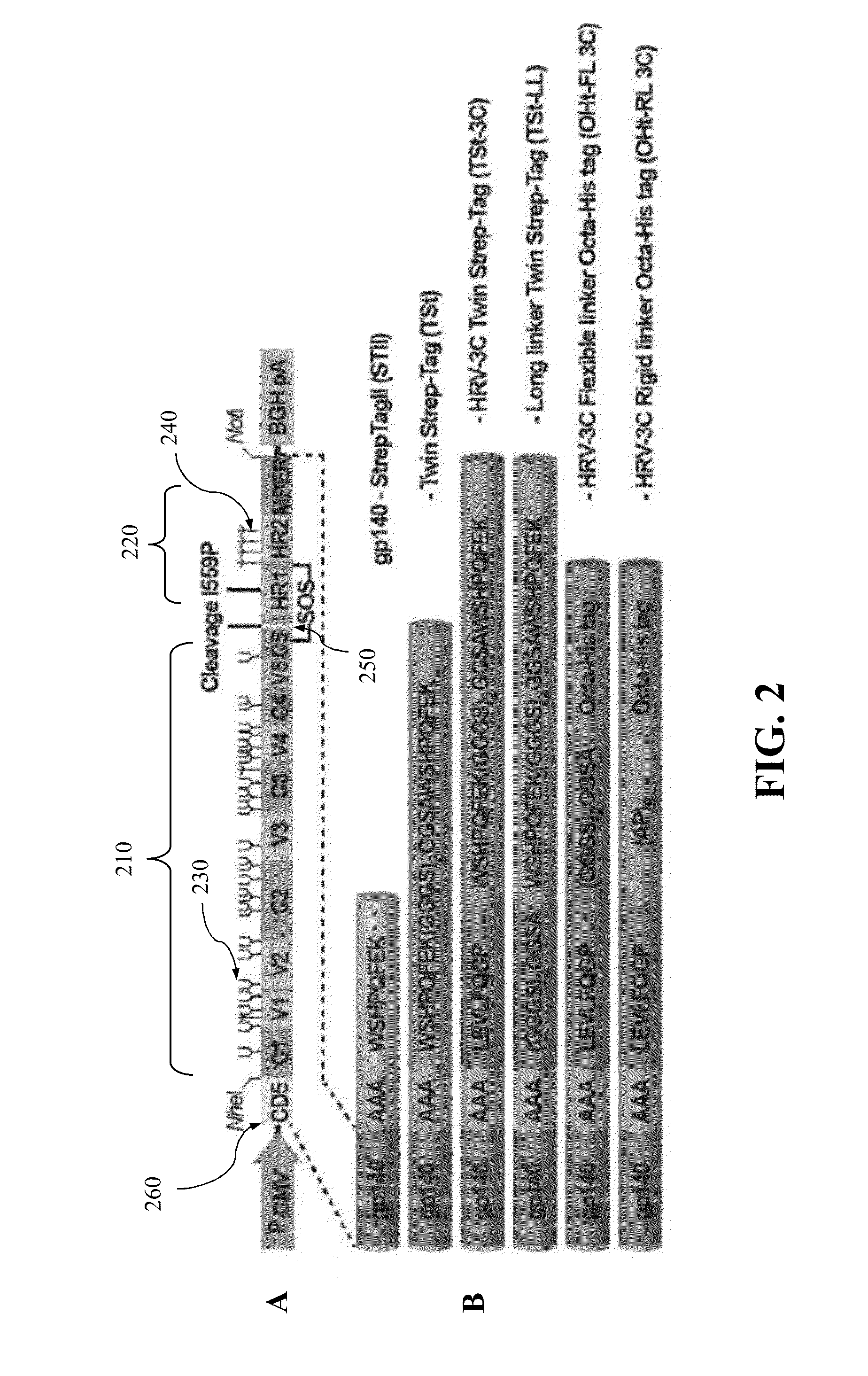 Approach to produce hiv-1 gp140 envelope protein trimers