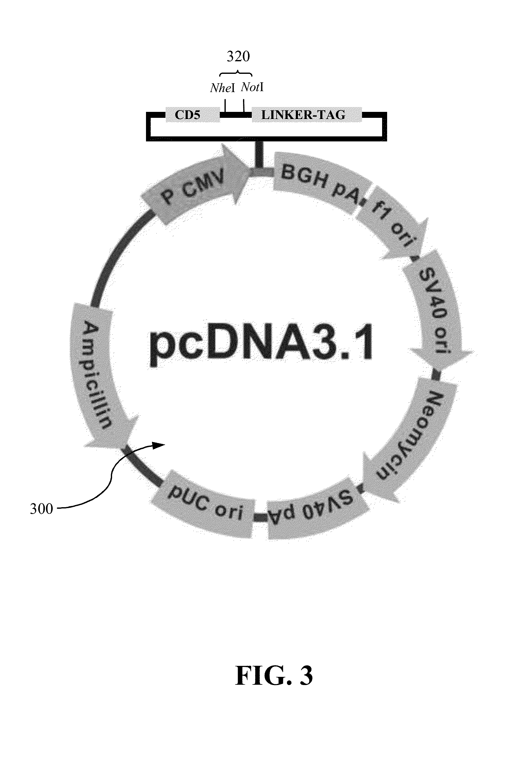 Approach to produce hiv-1 gp140 envelope protein trimers