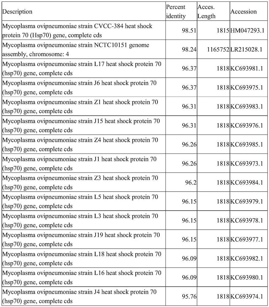 Mycoplasma ovipneumoniae strain and application thereof in screening of anti-mycoplasma ovipneumoniae preparation