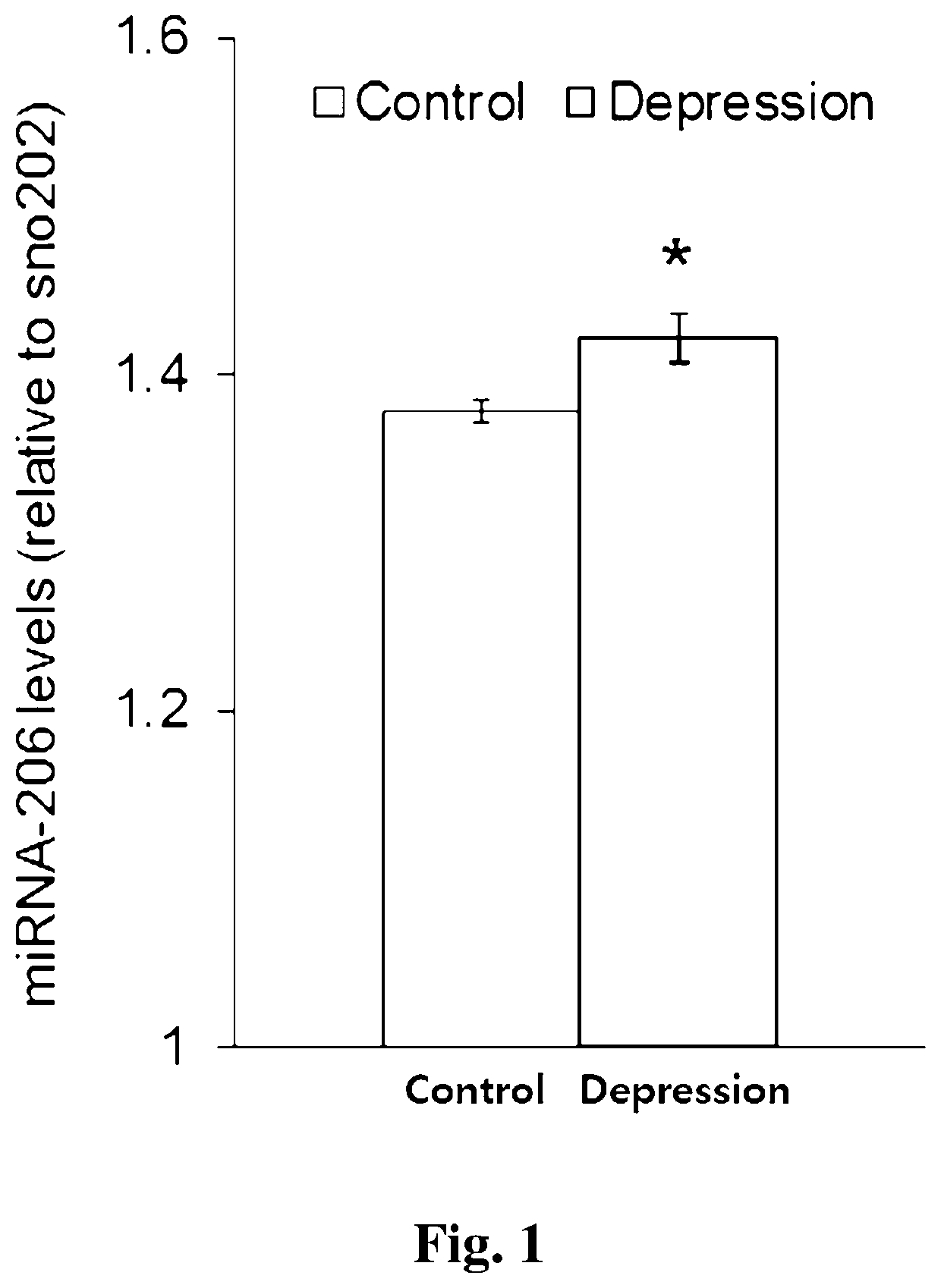 METHOD FOR DETECTING miRNA-206 FOR ANALYZING THE DIAGNOSIS OR PROGNOSIS OF A MENTAL ILLNESS BY A MOOD DISORDER, METHOD FOR PROVIDING INFORMATION FOR THE DIAGNOSIS, AND A COMPOSITION FOR TARGETING miRNA-206