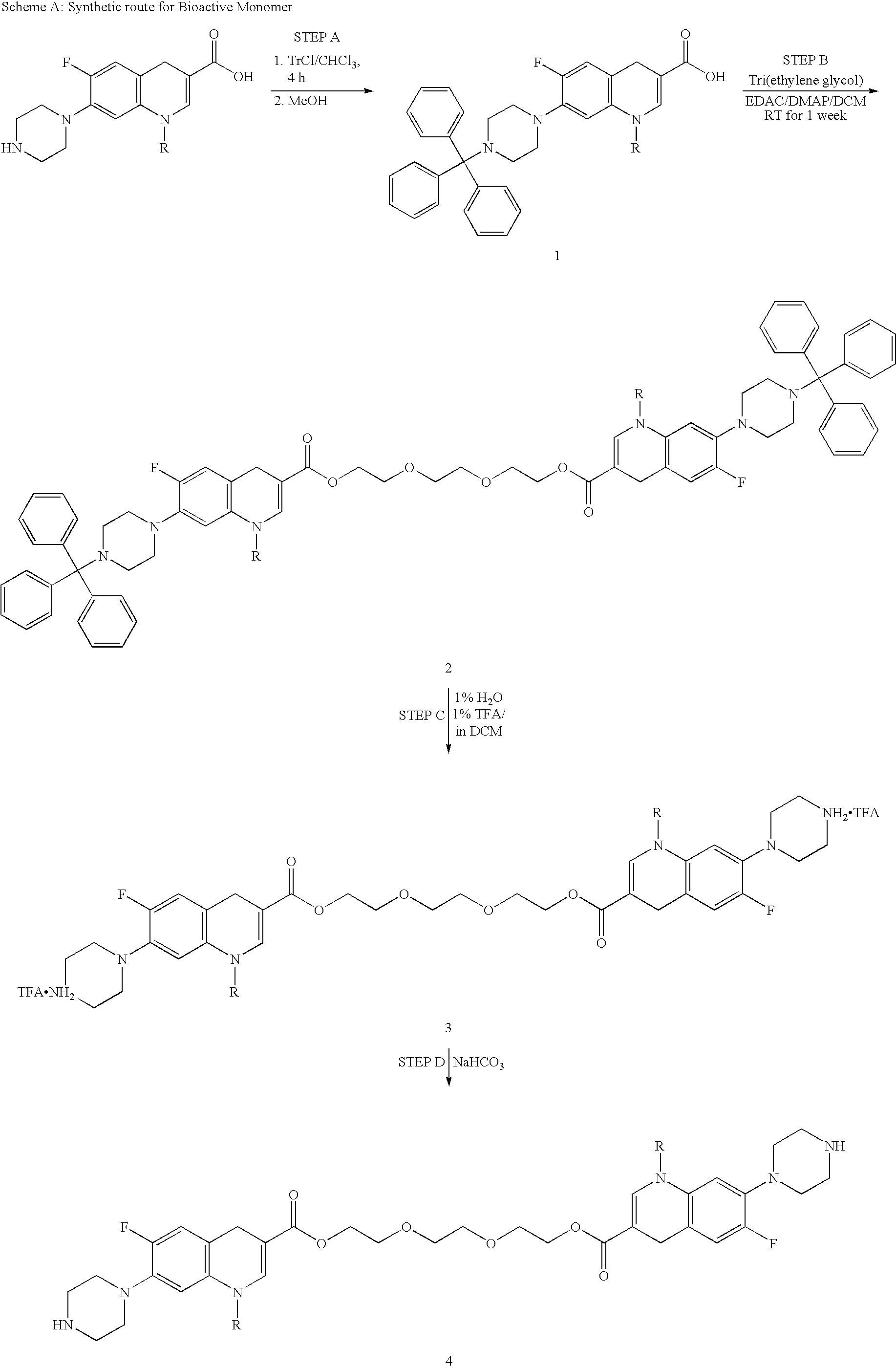 Combination therapy for the treatment of bacterial infections