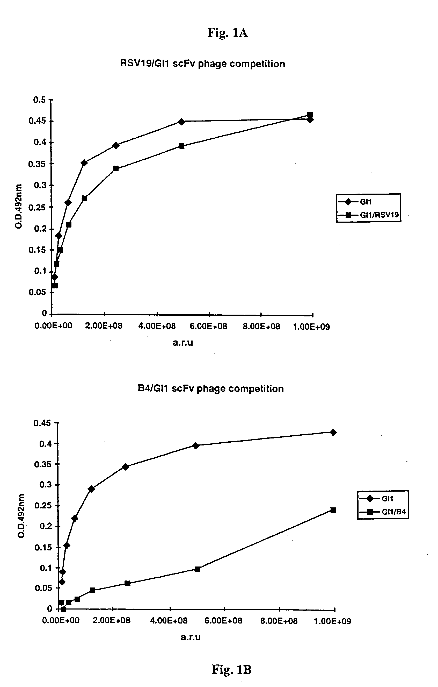 Human monoclonal antibody