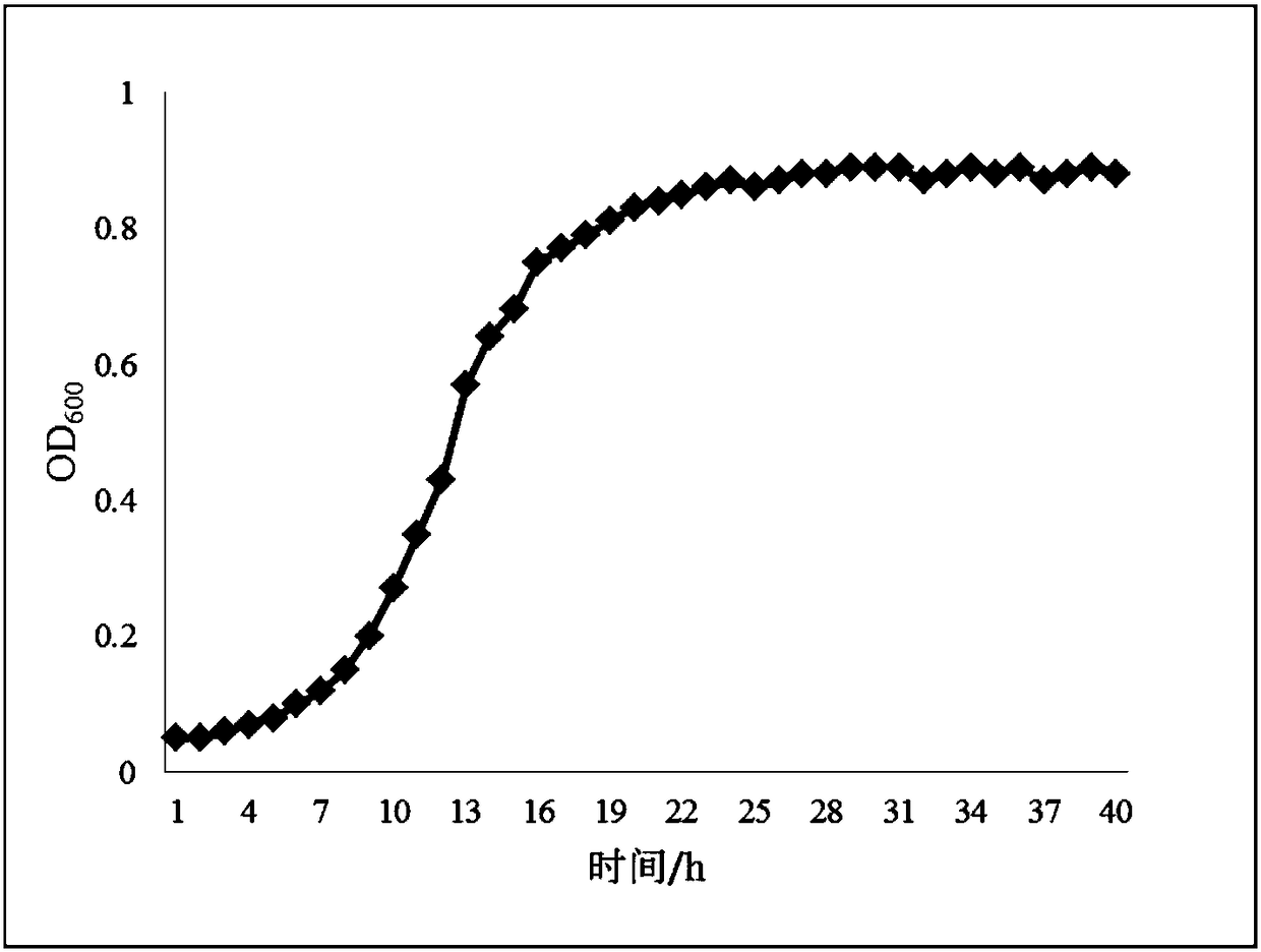 Rhodotorula mucilaginosa for degrading penicillin as well as application thereof