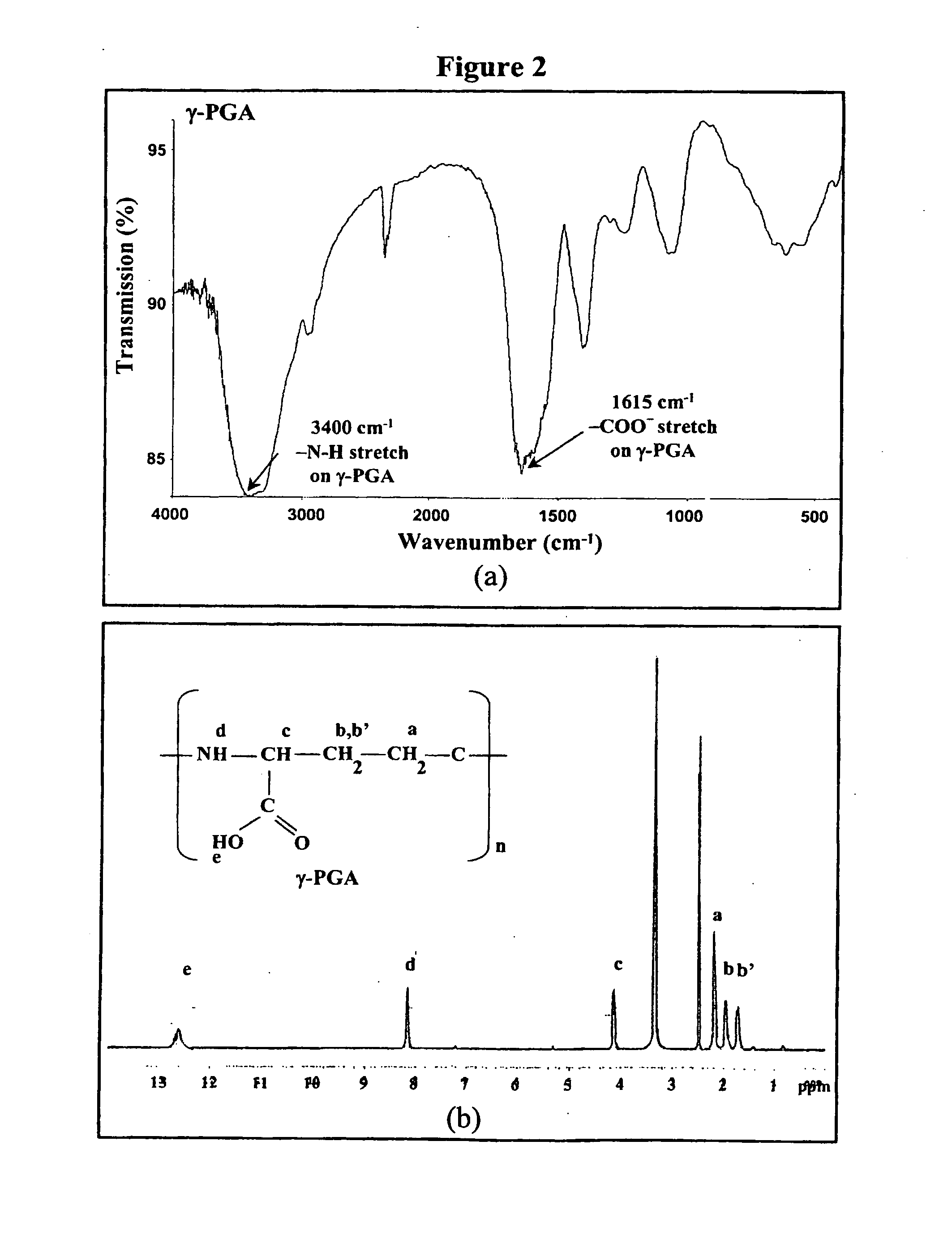 Nanoparticles for monoclonal antibody delivery