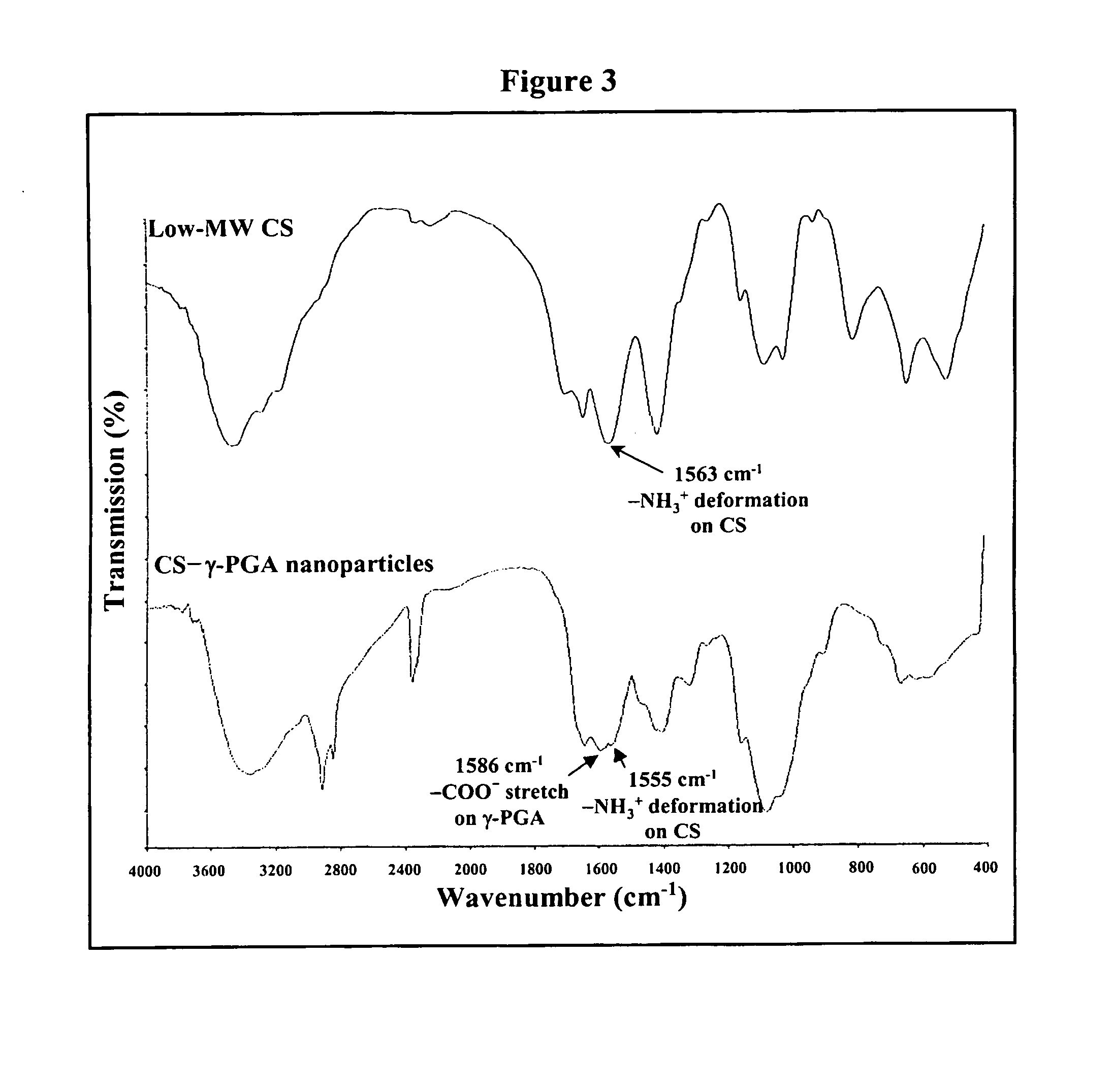 Nanoparticles for monoclonal antibody delivery