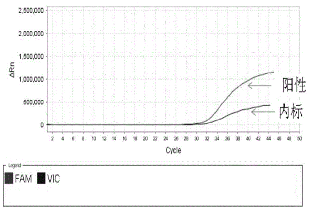 Fluorescent quantitative PCR detection reagent, kit and detection method for African swine fever virus