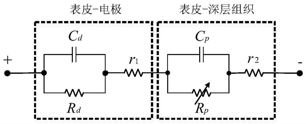 Electrode-skin impedance model parameter identification method based on stimulation frequency response