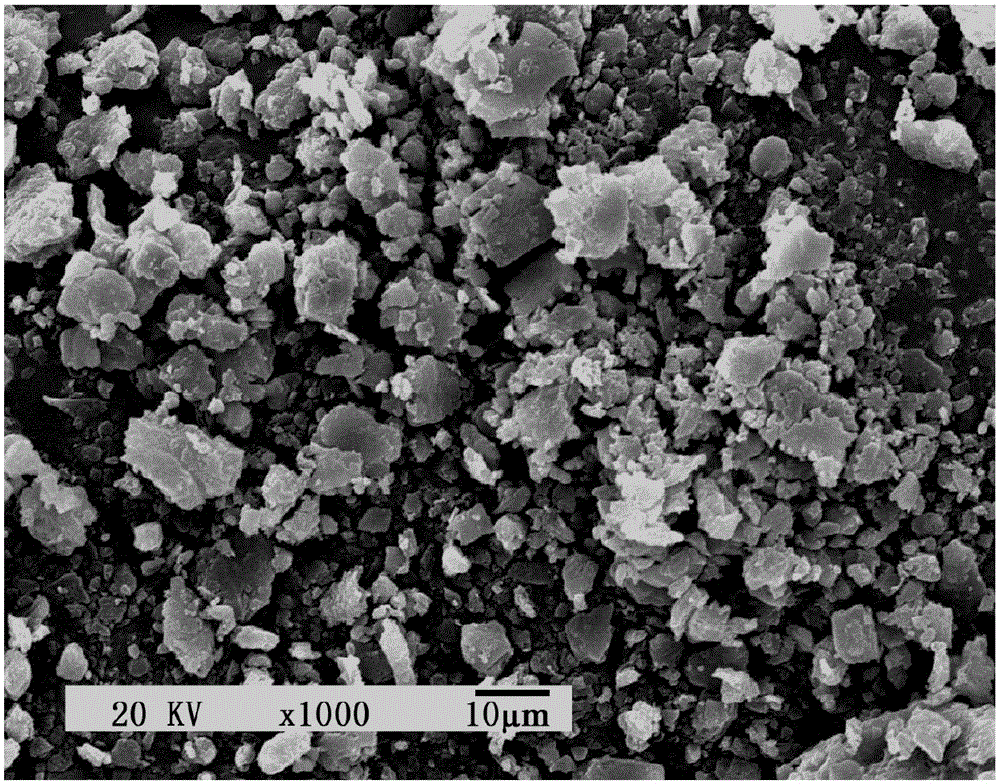 Woody plant feed additive for livestock and poultry, and preparation method of feed additive