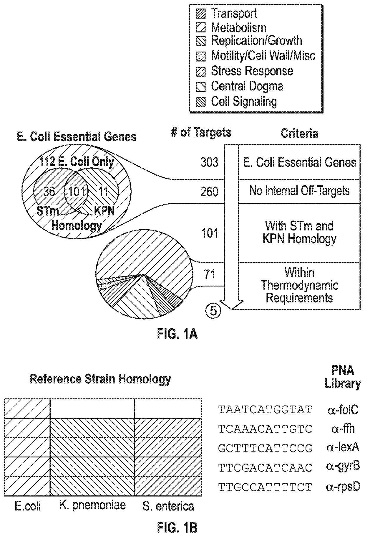 Antisense antibiotics and bacterial secretion based delivery system to eliminate drug-resistant bacteria