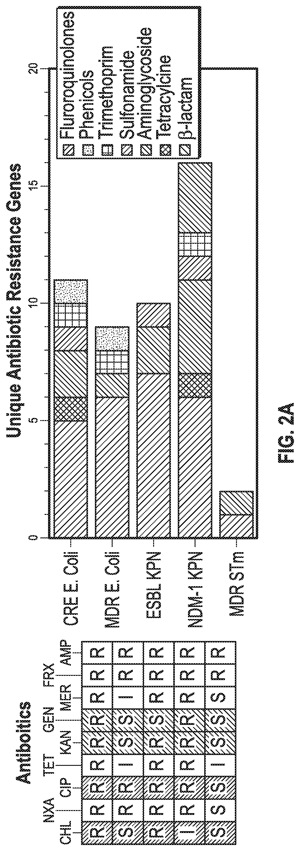 Antisense antibiotics and bacterial secretion based delivery system to eliminate drug-resistant bacteria