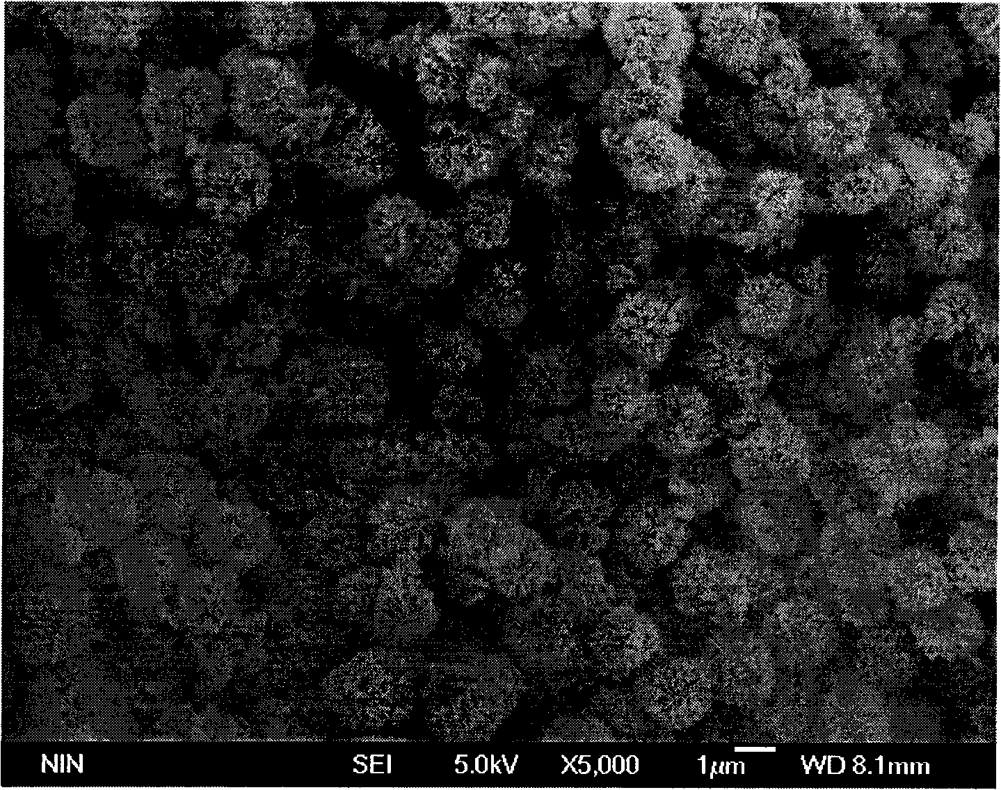 Optical resonance composite material in noble metal/titanium dioxide micro-nano structure