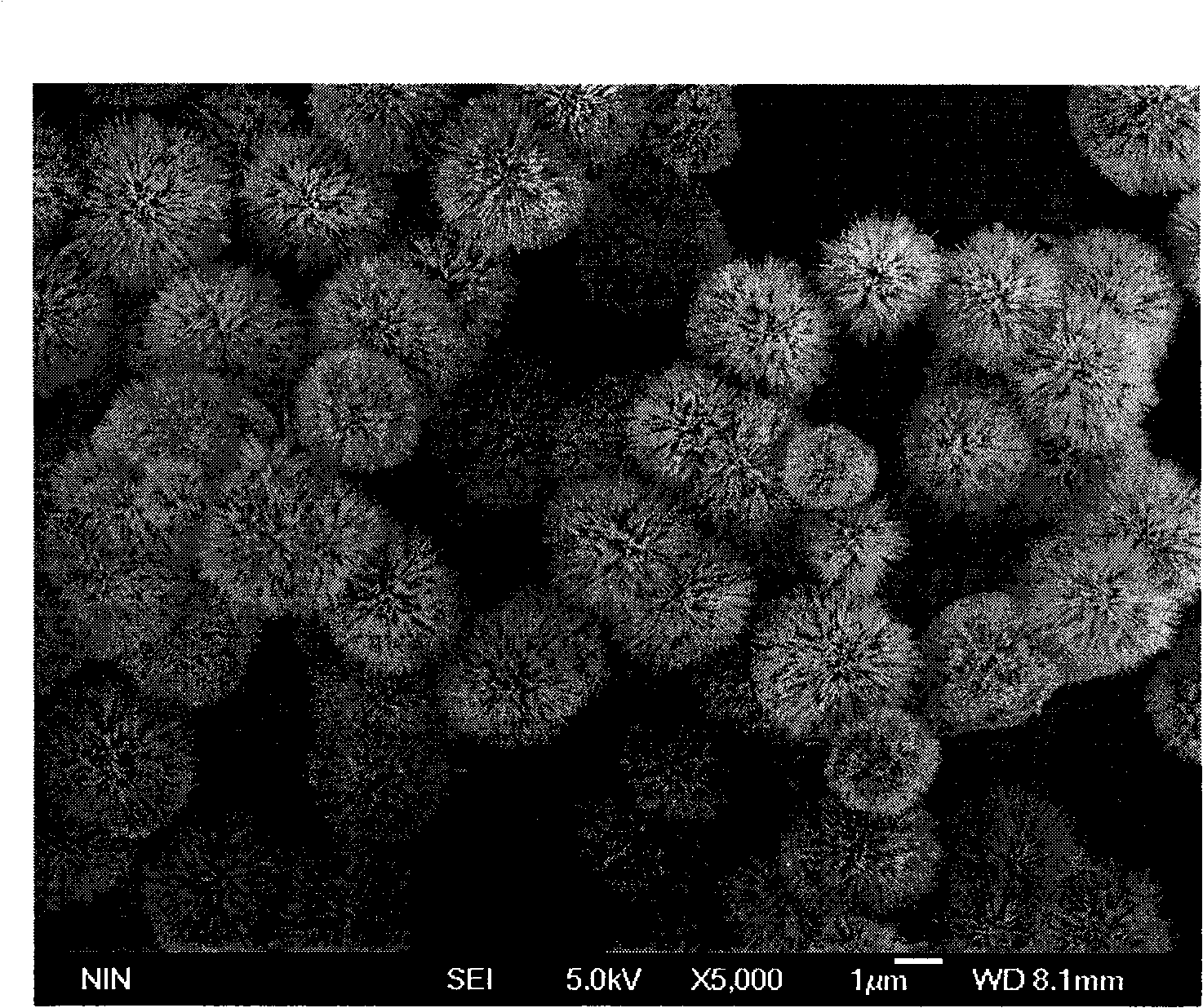 Optical resonance composite material in noble metal/titanium dioxide micro-nano structure