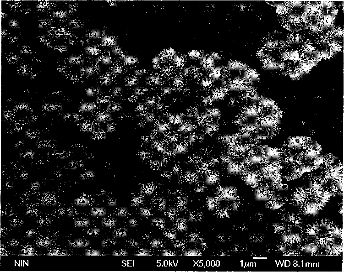 Optical resonance composite material in noble metal/titanium dioxide micro-nano structure