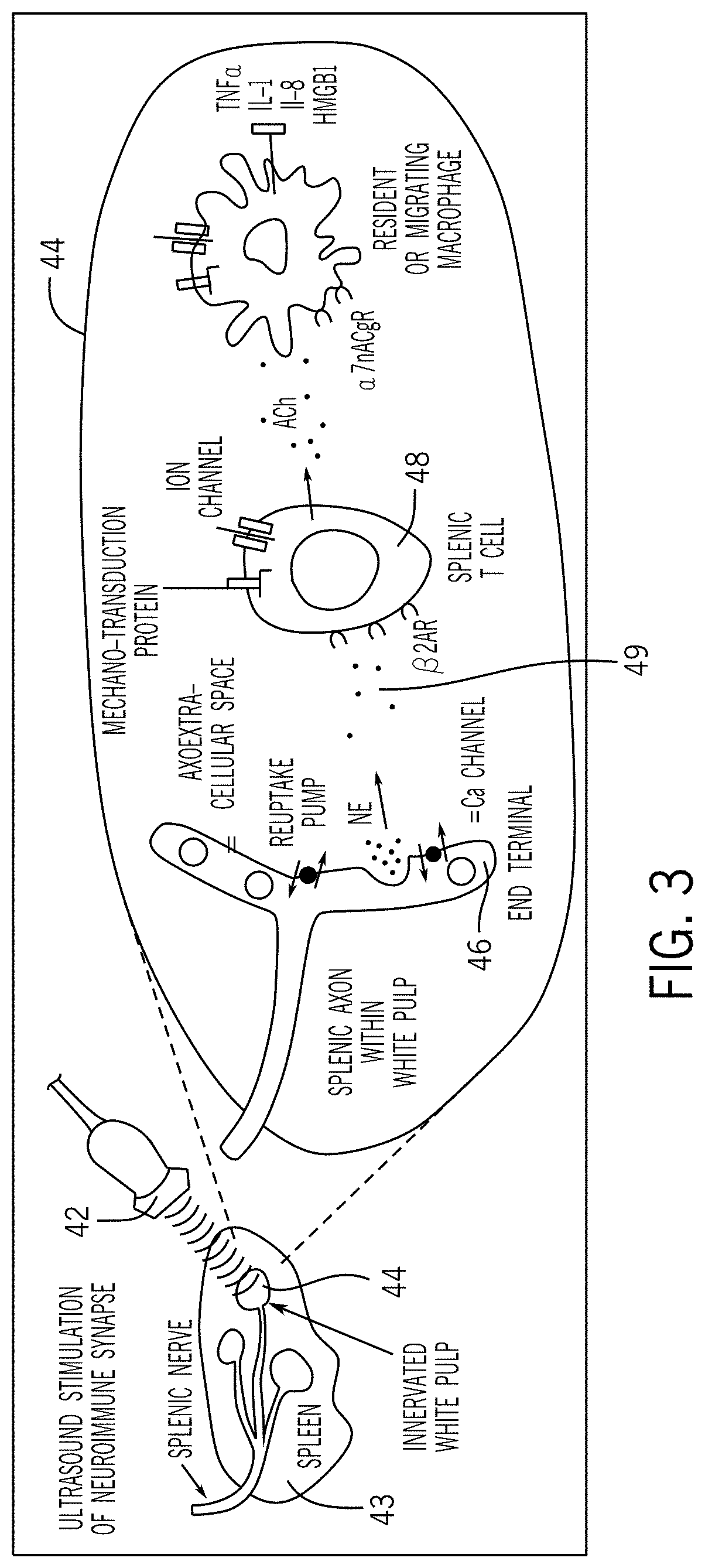 Techniques for neuromodulation